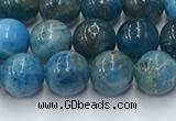 CAP630 15.5 inches 6mm round apatite beads wholesale