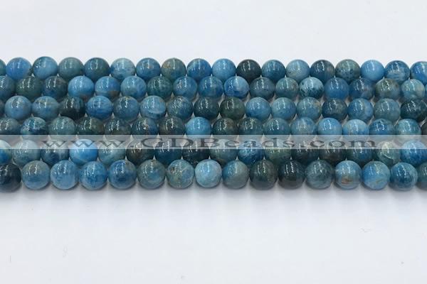 CAP630 15.5 inches 6mm round apatite beads wholesale