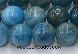 CAP631 15.5 inches 8mm round apatite beads wholesale