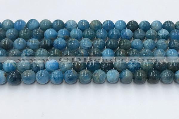 CAP631 15.5 inches 8mm round apatite beads wholesale