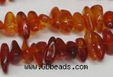 CAR116 16 inches 3*8mm - 4*10mm natural amber chips beads