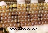 CAR234 15.5 inches 6mm - 7mm round natural amber beads wholesale