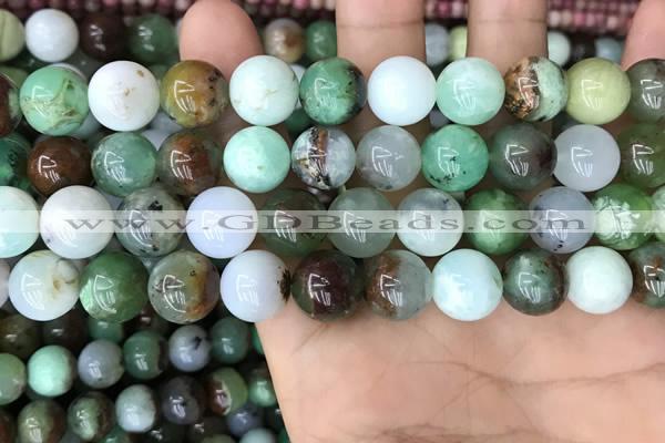 CAU438 15.5 inches 12mm round Australia chrysoprase beads wholesale