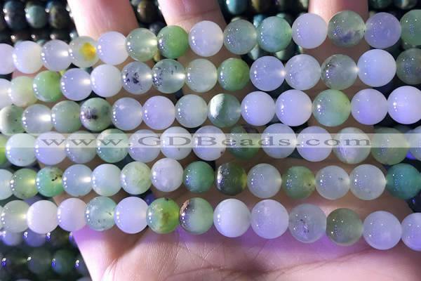 CAU473 15.5 inches 8mm round Australia chrysoprase beads