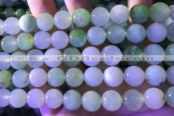 CAU475 15.5 inches 13mm round Australia chrysoprase beads