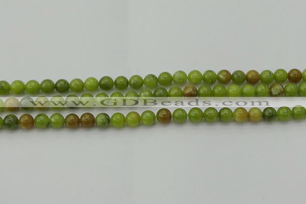 CAU501 15.5 inches 6mm round Chinese chrysoprase beads wholesale