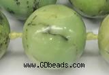 CAU544 15.5 inches 16mm round Australia chrysoprase gemstone beads