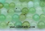 CAU569 15 inches 5mm round Australia chrysoprase beads