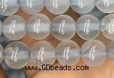 CBC731 15.5 inches 6mm round blue chalcedony beads wholesale