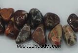 CBD16 15.5 inches 8*12mm chip brecciated jasper gemstone beads