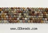 CBJ740 15.5 inches 6mm round petrified wood jade gemstone beads wholesale