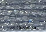 CCB1352 15 inches 2.5mm faceted coin labradorite beads