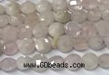 CCB1369 15 inches 4mm faceted coin morganite beads