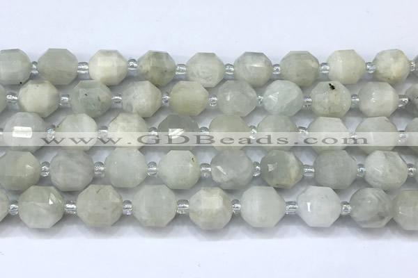 CCB1452 15 inches 9mm - 10mm faceted white moonstone beads