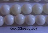 CCB302 15.5 inches 8mm round white coral beads wholesale