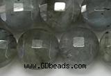 CCB684 15.5 inches 10mm faceted coin labradorite gemstone beads