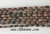 CCB810 15.5 inches 5*12mm rice leopard skin jasper beads wholesale