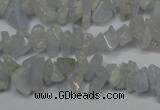 CCH205 34 inches 3*5mm blue chalcedony chips gemstone beads wholesale