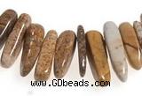 CCH26 16 inches picture jasper chips gemstone beads wholesale