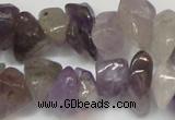 CCH291 34 inches 8*12mm amethyst chips gemstone beads wholesale