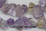 CCH314 15.5 inches 10*15mm ametrine chips gemstone beads wholesale