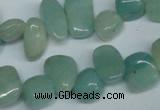 CCH324 15.5 inches 10*15mm amazonite chips gemstone beads wholesale