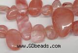 CCH334 15.5 inches 10*15mm cherry quartz chips beads wholesale