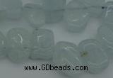 CCH606 15.5 inches 8*12mm - 10*15mm aquamarine chips gemstone beads