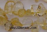 CCH612 15.5 inches 6*8mm - 10*14mm citrine chips gemstone beads