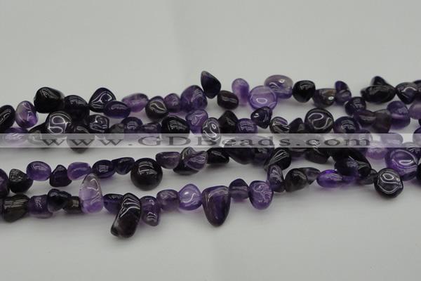 CCH615 15.5 inches 6*8mm - 10*14mm amethyst chips gemstone beads