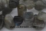 CCH618 15.5 inches 6*8mm - 10*14mm labradorite chips gemstone beads