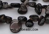 CCH623 15.5 inches 6*8mm - 10*14mm smoky quartz chips beads