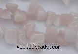 CCH626 15.5 inches 6*8mm - 10*14mm morganite gemstone chips beads