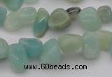 CCH630 15.5 inches 6*8mm - 10*14mm Chinese amazonite chips beads