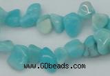 CCH631 15.5 inches 6*8mm - 10*14mm Peru amazonite chips beads