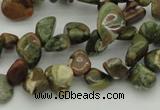 CCH637 15.5 inches 6*8mm - 10*14mm rhyolite gemstone chips beads