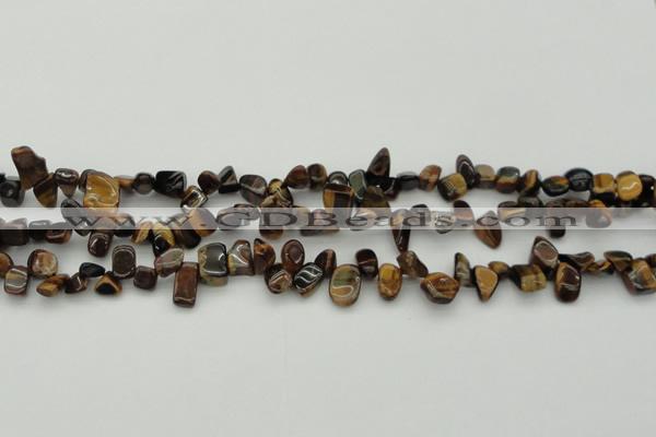 CCH638 15.5 inches 6*8mm - 10*14mm yellow tiger eye chips beads