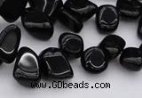 CCH640 15.5 inches 6*8mm - 10*14mm black agate chips beads