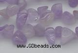 CCH641 15.5 inches 6*8mm - 10*14mm lavender amethyst chips beads