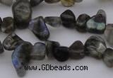 CCH642 15.5 inches 6*8mm - 10*14mm labradorite chips beads