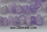 CCH648 15.5 inches 8*12mm - 10*14mm lavender amethyst chips beads