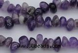 CCH649 15.5 inches 4*6mm - 5*8mm amethyst gemstone chips beads