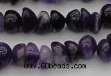 CCH650 15.5 inches 4*6mm - 5*8mm amethyst gemstone chips beads