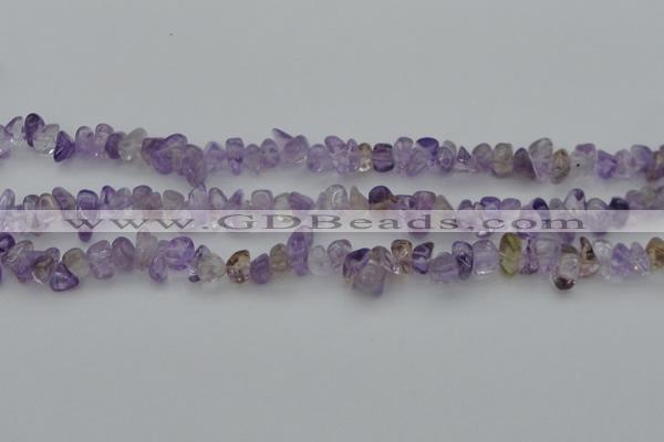 CCH652 15.5 inches 8*12mm - 10*14mm ametrine gemstone chips beads