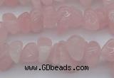 CCH654 15.5 inches 8*12mm - 10*14mm rose quartz chips beads