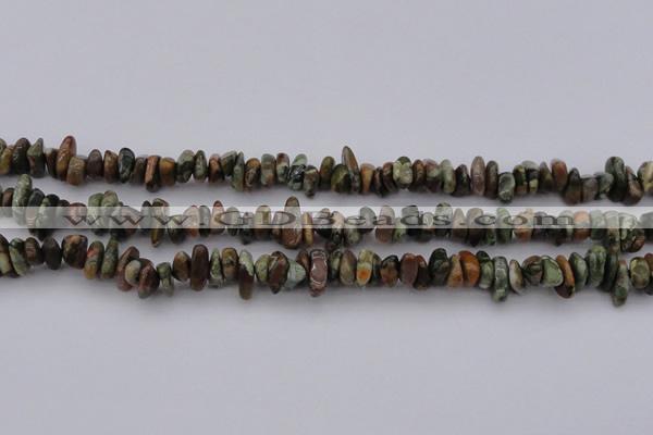 CCH662 15.5 inches 5*8mm - 6*10mm rhyolite gemstone chips beads