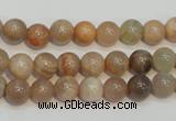 CCS303 15.5 inches 8mm round natural sunstone beads wholesale