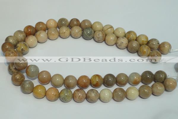 CCS306 15.5 inches 14mm round natural sunstone beads wholesale