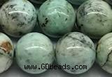 CCS942 15 inches 10mm round chrysocolla beads