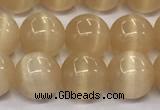 CCT1436 15 inches 8mm, 10mm, 12mm round cats eye beads